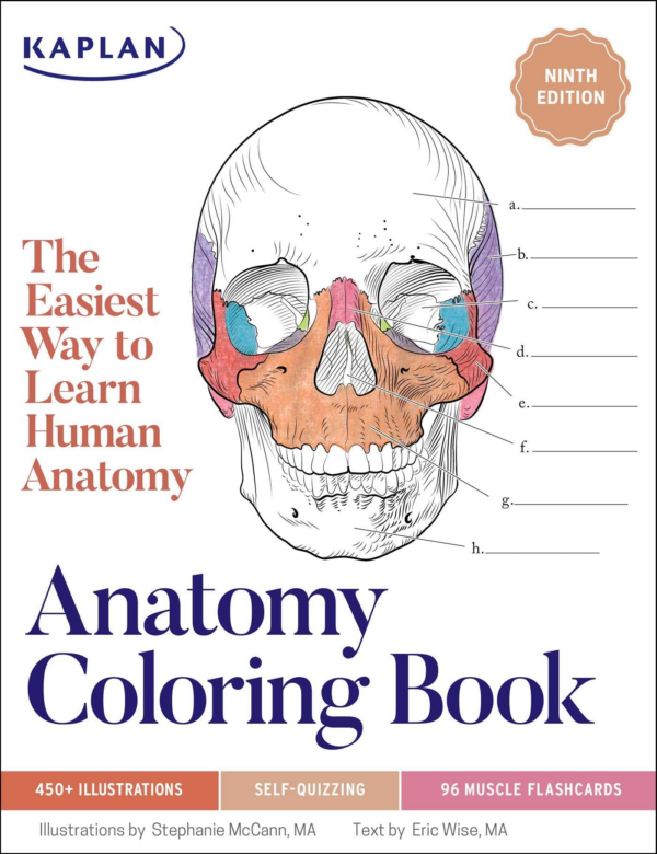 Anatomy Coloring Book with 450 Realistic Medical Illustrations with Quizzes for Each 96 Perforated Flashcards of Muscle Origin, Insertion, Action, and Innervation