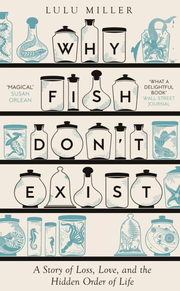 Why Fish Don't Exist: A Story of Finding Our Way in a Chaotic World