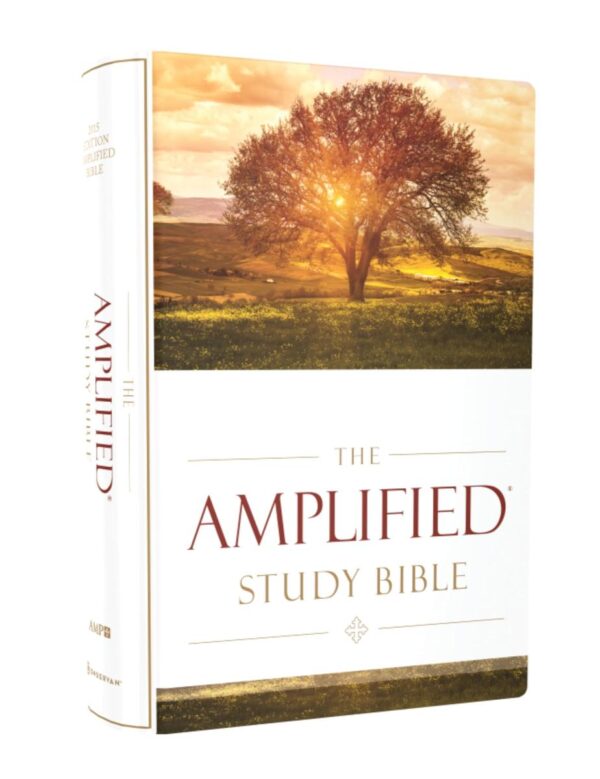 AMPLIFIED STUDY BIBLE HC