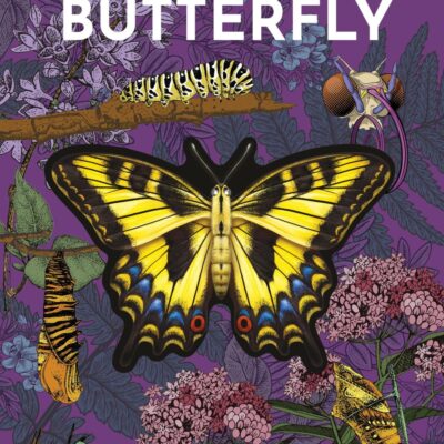 Inside Out Butterfly: Discover Nature'S Most Amazing Transfo