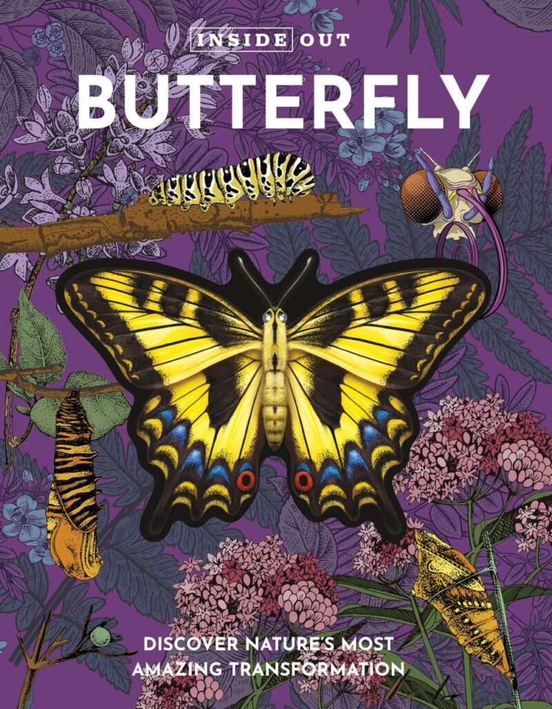 Inside Out Butterfly: Discover Nature'S Most Amazing Transfo