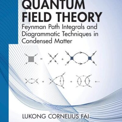 Quantum Field Theory: Feynman Path Integrals and Diagrammatic Techniques in Condensed Matter