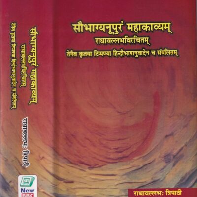 Saubhagyanupuram Mahakavyam (Radhavallabhavirchitam)