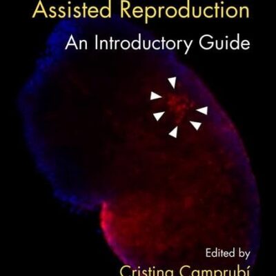 Epigenetics and Assisted Reproduction: An Introductory Guide