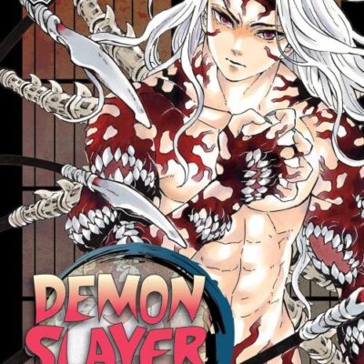 PRITISHA Demon Slayer Vol 22