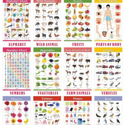 VCP Early Learning Educational Chart Set for Kids | Set of 12 LAMINATED Paper Charts (Printed on Both Sides) | Non-Tearable and Waterproof | Size : 31 x 46 cm | Alphabet