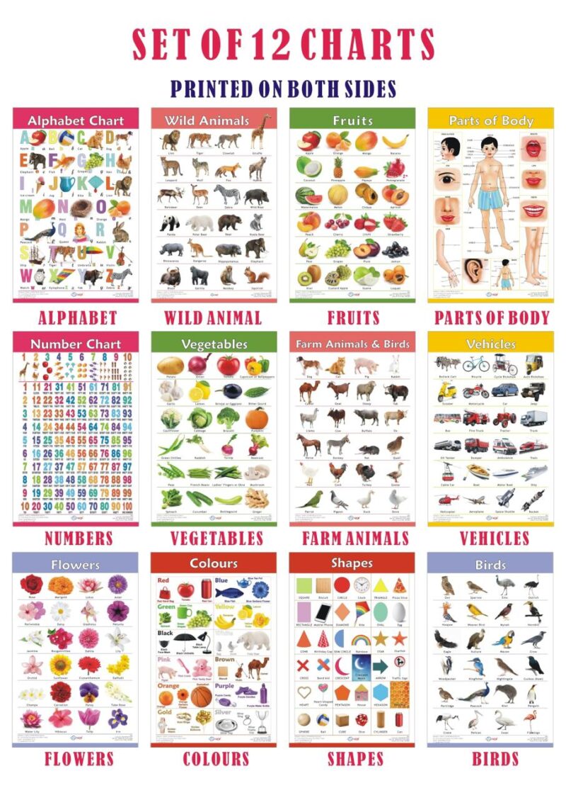 VCP Early Learning Educational Chart Set for Kids | Set of 12 LAMINATED Paper Charts (Printed on Both Sides) | Non-Tearable and Waterproof | Size : 31 x 46 cm | Alphabet