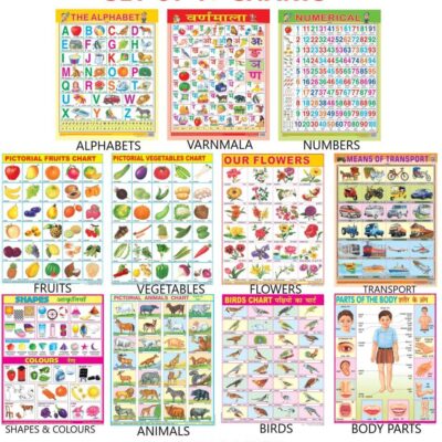 Early Learning Educational Charts set for Kids | 45X60 cm | Set of 11 | Non-Tearable and Waterproof | Double Sided Laminated | Billingual Charts i.e each word is in English & Hindi