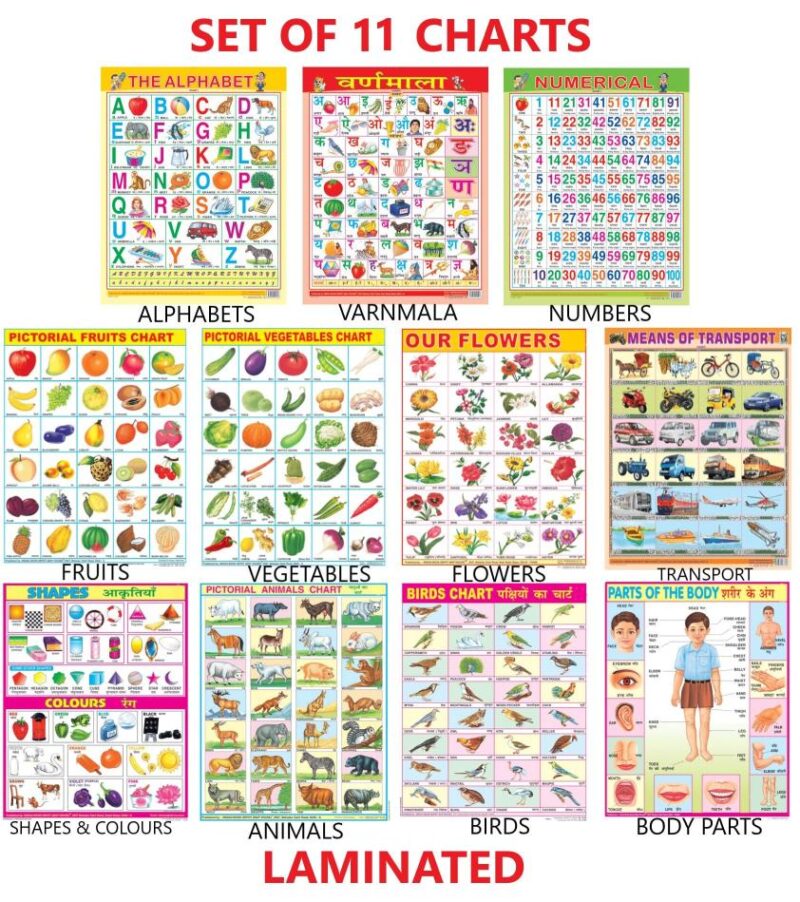 Early Learning Educational Charts set for Kids | 45X60 cm | Set of 11 | Non-Tearable and Waterproof | Double Sided Laminated | Billingual Charts i.e each word is in English & Hindi