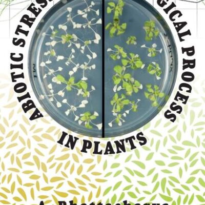 Abiotic Stress and Physiological Process in Plants