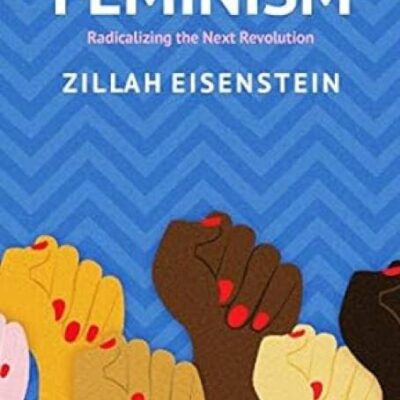 Abolitionist Socialist Feminism