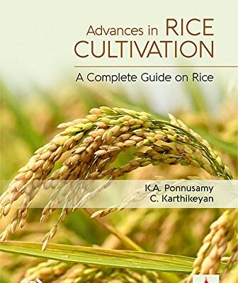 Advances in Rice Cultivation: A Complete Guide on Rice