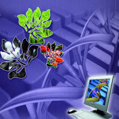 Agro Informatics