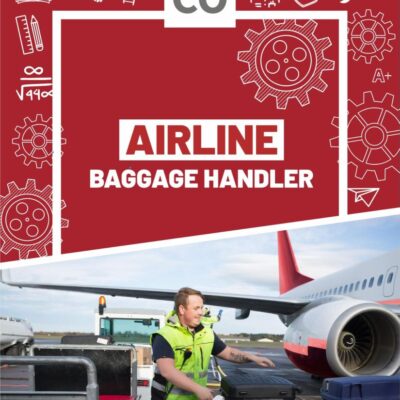Airline Baggage Handler