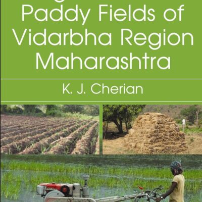 Algal Flora of the Paddy Fields of Vidarbha Region of Maharashtra