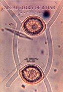 Algal Flora of Bihar (Zygnematceae)