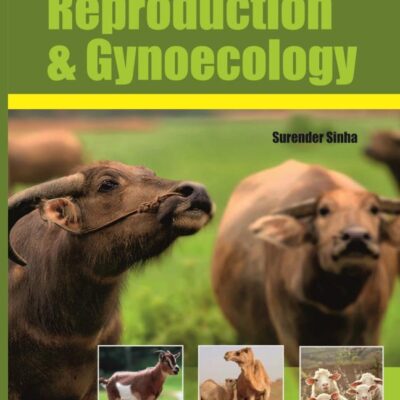 Animal Reproduction and Gynecology