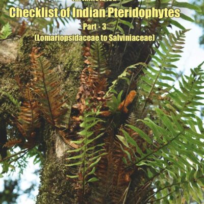 Annotated Checklist of Indian Pteridophytes Part 3: Lomariopsidaceae to Salviniaceae