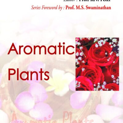 Aromatic Plants