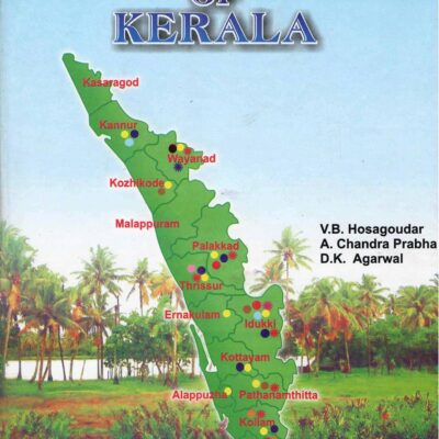 Asterinales of Kerala