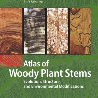 Atlas of Woody Plant Stems: Evolution