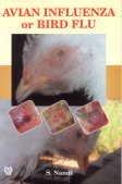 Avian Influenza or Bird Flu