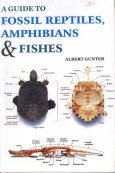 A Guide to Fossil Reptiles