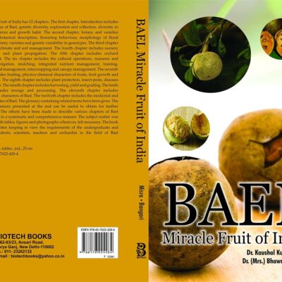 Bael Miracle Fruit of India