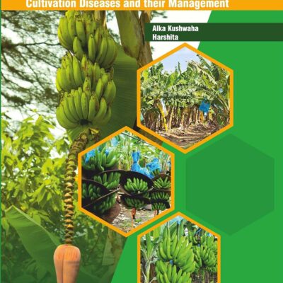Banana and Plantain Cultivation Diseases and their Management