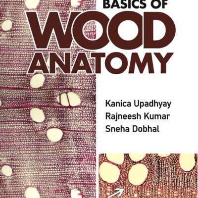 Basics of Wood Anatomy