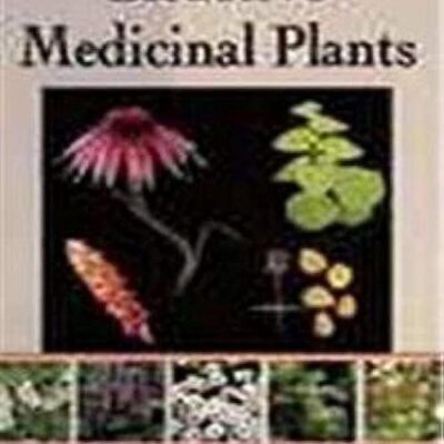 Bioactive Medicinal Plants
