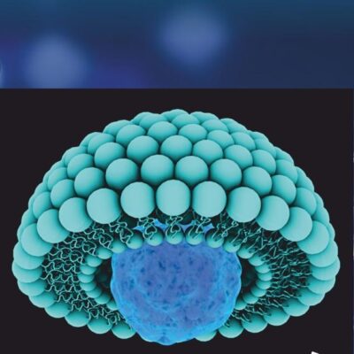 Bionanosciences