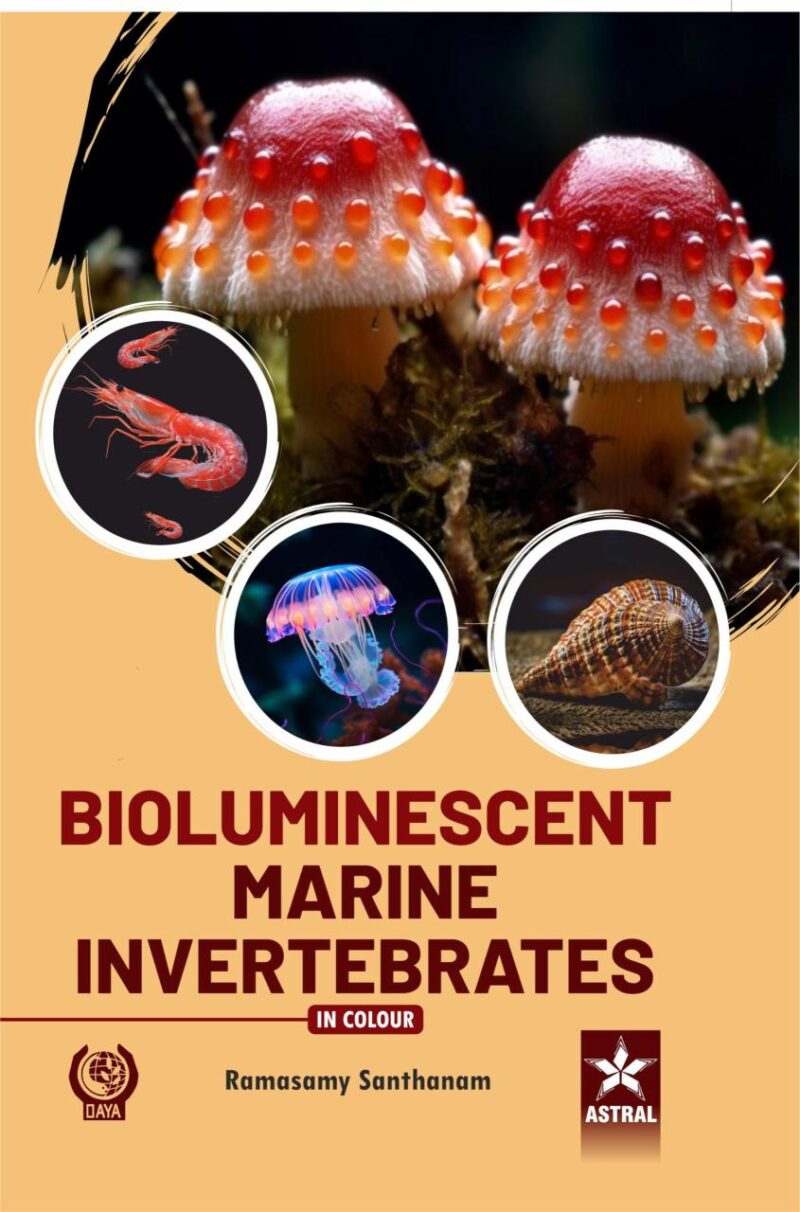 Bioluminescent Marine Invertebrates