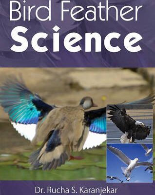 Bird Feather Science