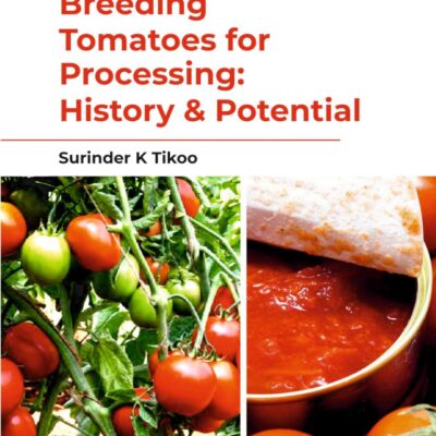Breeding Tomatoes for Processing: History & Potential