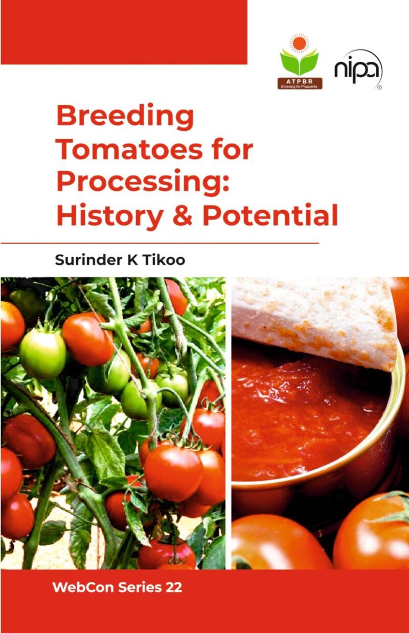 Breeding Tomatoes for Processing: History & Potential
