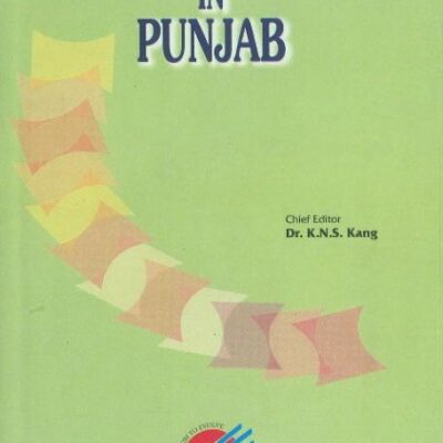 Business Groups in Punjab