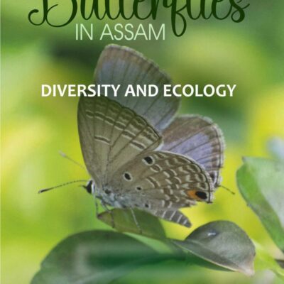 Butterflies in Assam: Diversity and Ecology