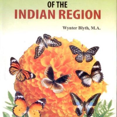 Butterflies of the Indian Region (Reprint)
