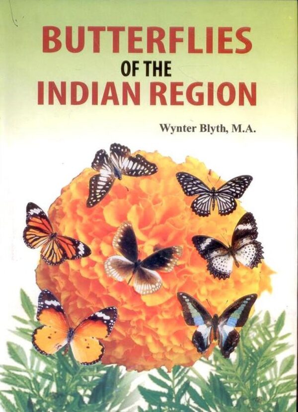 Butterflies of the Indian Region (Reprint)
