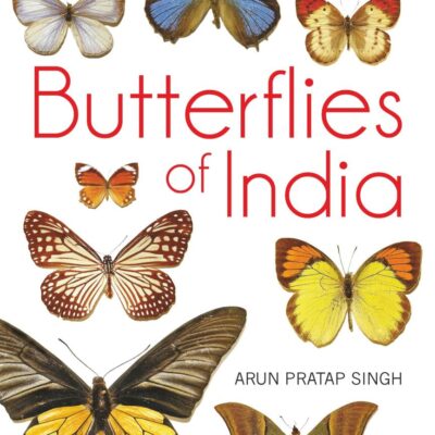 Butterflies of India