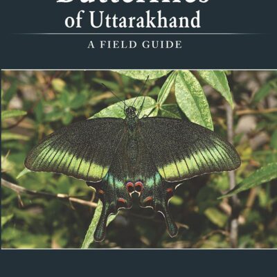 Butterflies of Uttarakhand A Field Guide