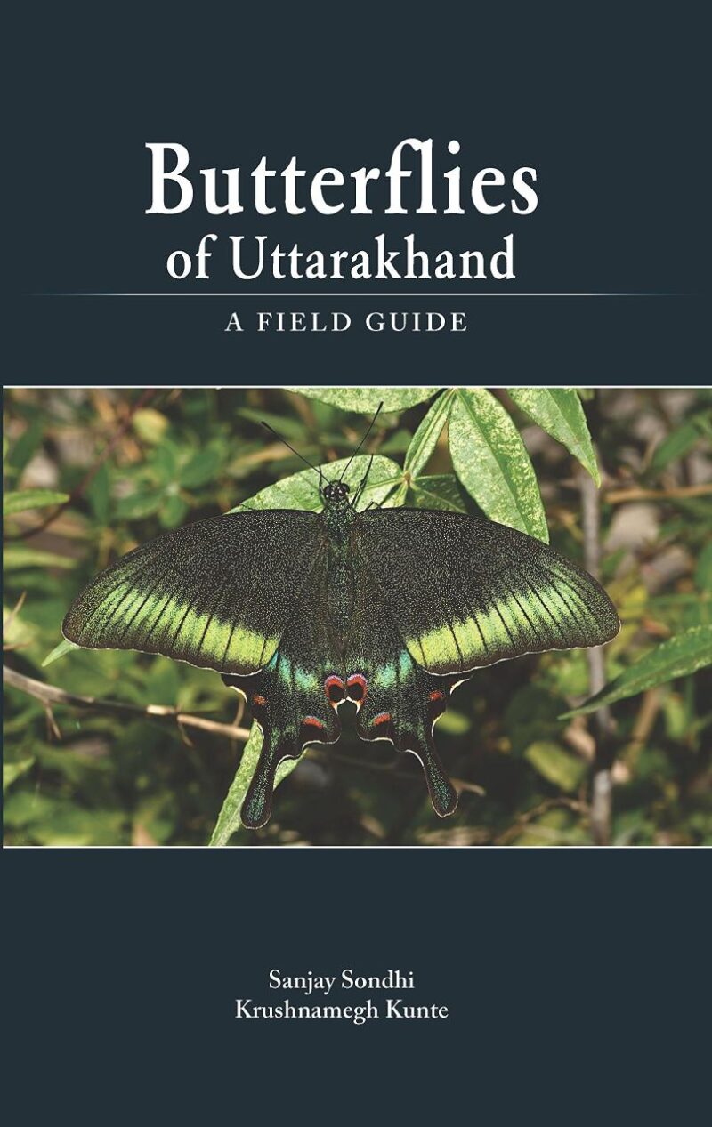Butterflies of Uttarakhand A Field Guide