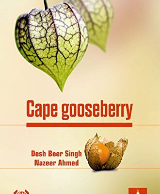 Cape Gooseberry