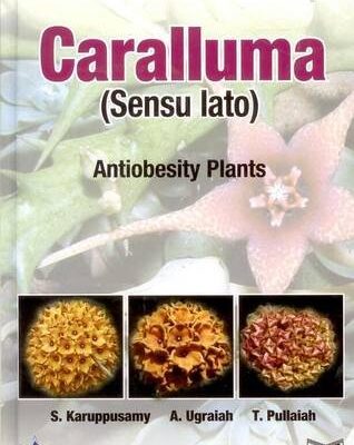 Caralluma ( Sensu Lato) Antiobesity Plants