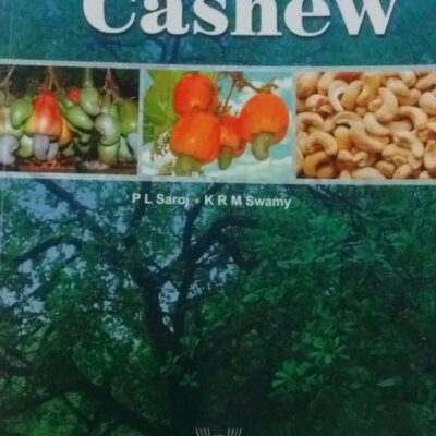 Cashew (PB)