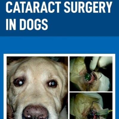 Cataract Surgery in Dogs