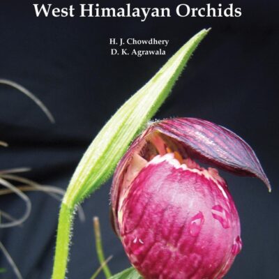A Century of West Himalayan Orchids