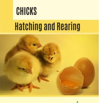 Chicks Hatching and Rearing
