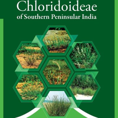 Chloridoideae of Southern Peninsular India